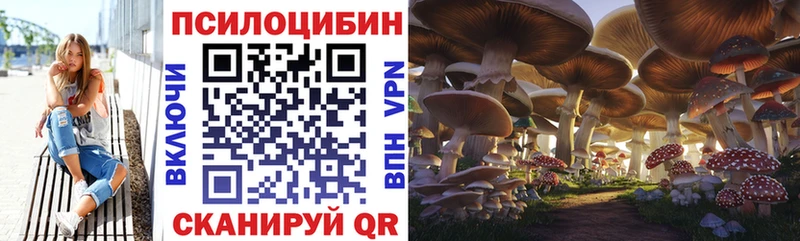 Галлюциногенные грибы ЛСД  Купить где  Баксан 