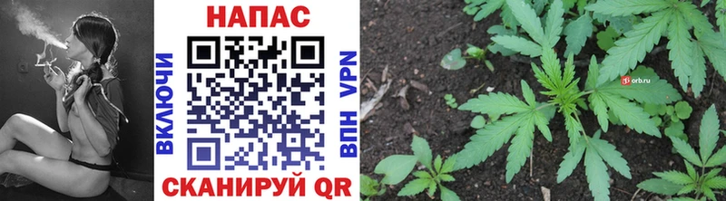 Канабис планчик  Купить закладки  Баксан 